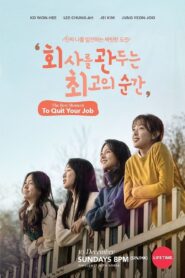 The Best Moment To Quit Your Job 2017 on netflix