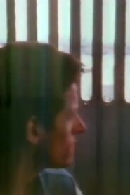 The Blue Nile: Flags and Fences 1990 on netflix