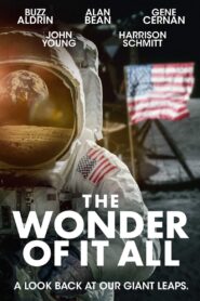 The Wonder of It All 2007 on netflix