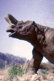 The Age of Mammals 1981 on netflix