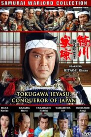 Tokugawa Ieyasu: The Conqueror of Japan 1992 on netflix