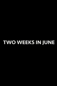 Two Weeks in June 2014 on netflix