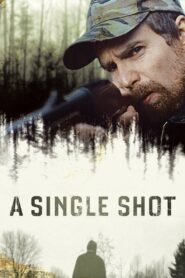 A Single Shot 2013 on netflix