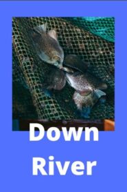 Down River 2021 on netflix