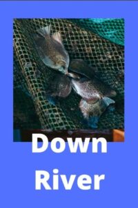 Down River 2021 on netflix
