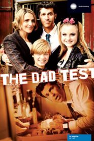 Papa auf Probe 2013 on netflix