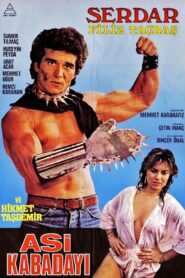 Asi Kabadayı 1986 on netflix