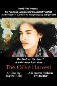 The Olive Harvest 2003 on netflix