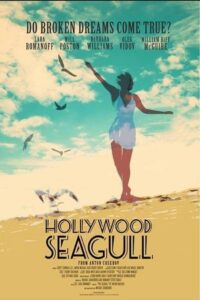 Hollywood Seagull 2013 on netflix