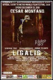 Ligalig 2006 on netflix