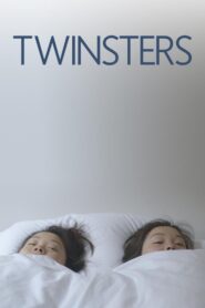 Twinsters 2015 on netflix