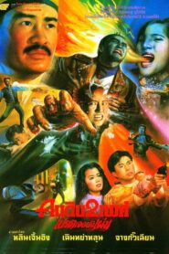 Wizard’s Curse 1992 on netflix