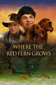 Where the Red Fern Grows 2003 on netflix
