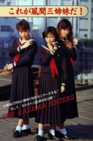 Sukeban Deka 3: Shojo Ninpo-cho Denki TV Special 1987 on netflix