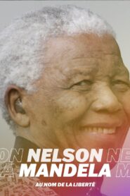 Nelson Mandela, au nom de la liberté 2010 on netflix