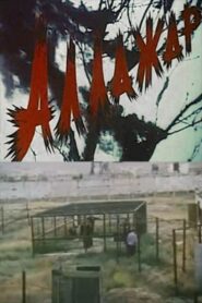 Allazhar 2001 on netflix