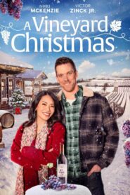 A Vineyard Christmas 2023 on netflix