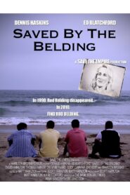 Saved by the Belding 2010 on netflix