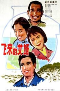 飞来的女婿 1982 on netflix
