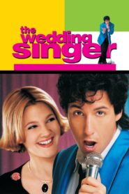 The Wedding Singer 1998 on netflix