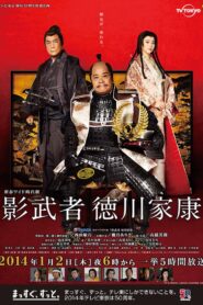 Shadow Warrior Tokugawa Ieyasu 2014 on netflix