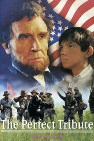The Perfect Tribute 1991 on netflix