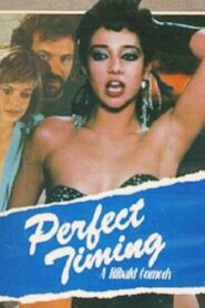 Perfect Timing 1986 on netflix