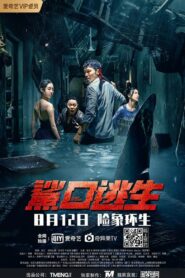 Escape of Shark 2021 on netflix