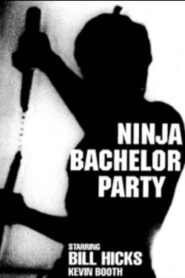 Ninja Bachelor Party 1991 on netflix