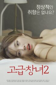 Advanced Prostitute 2 2022 on netflix