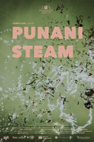Punani Steam 2021 on netflix