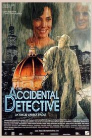 The Accidental Detective 2003 on netflix