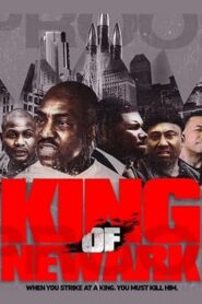 King of Newark 2017 on netflix