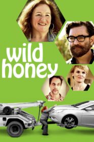 Wild Honey 2017 on netflix