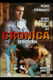 Crónica de un crimen 1992 on netflix
