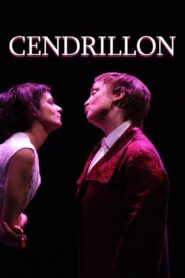 Cendrillon 2011 on netflix