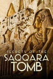 Secrets of the Saqqara Tomb 2020 on netflix