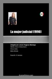 La mujer judicial 1990 on netflix