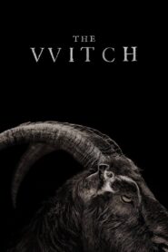 The Witch 2016 on netflix