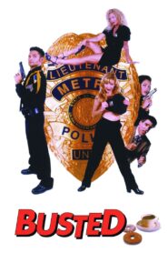 Busted 1997 on netflix