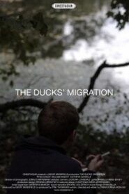 The Ducks’ Migration 2012 on netflix