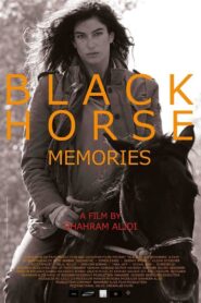 Black Horse Memories 2015 on netflix