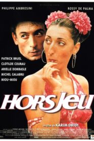 Foul Play 1998 on netflix