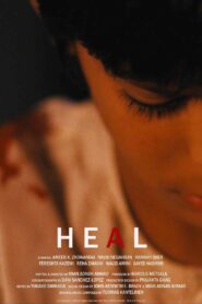 Heal 2010 on netflix