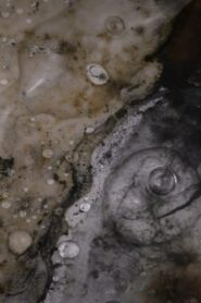 Entropic Memory 2024 on netflix