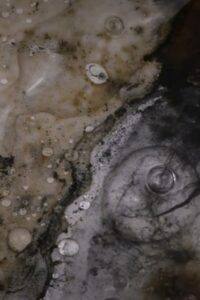 Entropic Memory 2024 on netflix