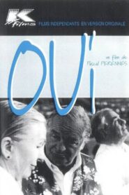 Oui 1995 on netflix