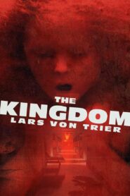 The Kingdom 1994 on netflix