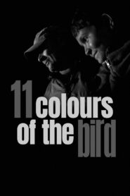 11 Colours of the Bird 2020 on netflix
