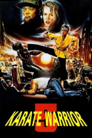 Karate Warrior 5 1992 on netflix